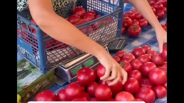 Наш обычный день на Кубани влог от Петровчанки Леры #gar