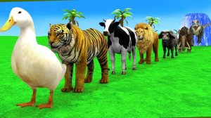 Мультики про животных. Дикие животные: корова, слон, горилла. Смотреть онлайн Мультики для детей