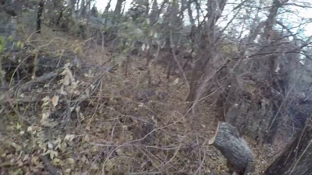 Жена купила самую дешевую бензопилу "Энергопром" за 3000 смотреть онлайн