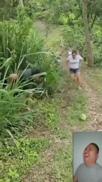 Поторопился успеть в туалет смотреть онлайн