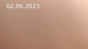 прививка яблони // grafting apple