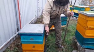 МНОГОКОРПУСНОЙ УЛЕЙ, УНИКАЛЬНАЯ СИСТЕМА ПЧЕЛОВОЖДЕНИ