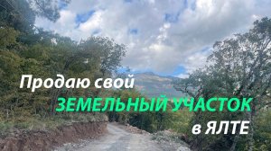 Продаю свой земельный участок в Ялте (кусочек леса). Горы, лес, сосны, почти ровное место под дом.