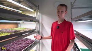 Открыл БИЗНЕС — за 5.000 ₽. Сколько приносит МИКРОЗЕЛЕН?