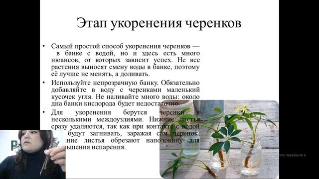 Юный биотехнолог/Способы укоренения черенков/Шаймард смотреть онлайн