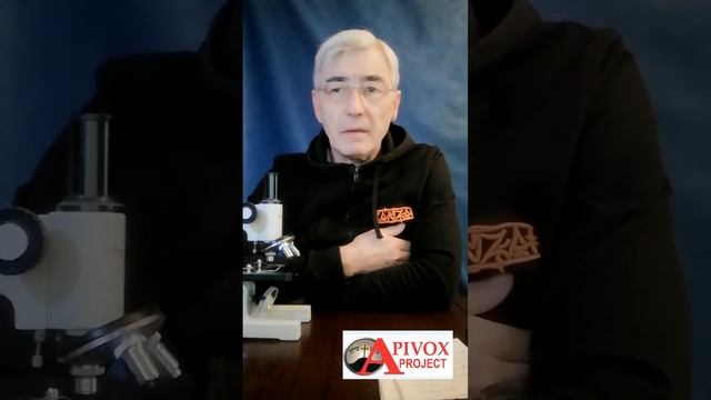 КОРОТКО О ВАЖНОМ. УНИКАЛЬНЫЕ КНИГИ О ПЧЕЛАХ УЖЕ В ПРОД? смотреть онлайн