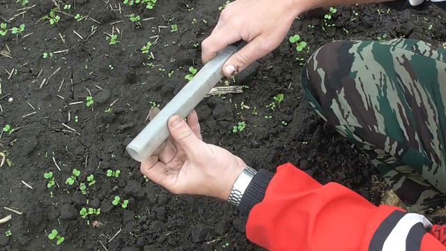 Рассада в пеленках. Полугильза (полуобойма) для пелено смотреть онлайн