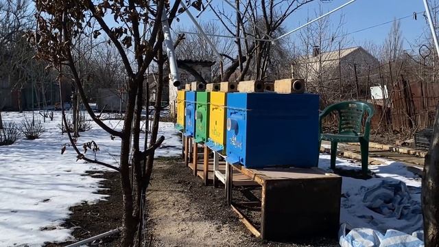5 ульев 50 000 рублей. Пасека с нуля