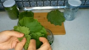 ЗАГОТОВКА ВИНОГРАДНЫХ ЛИСТЬЕВ/ БЕЗ СОЛИ И ВОДЫ