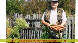 КАК ИЗБАВИТЬСЯ ОТ ПЛЮЩА НА ОГОРОДЕ 👌 СИЛЬНЫЕ ГЕРБИЦИ?