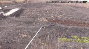 Обработка деревьев и кустов весной НИТРОФЕНОМ