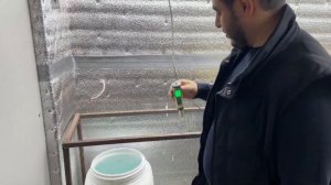 Питательный раствор для выгонки тюльпанов