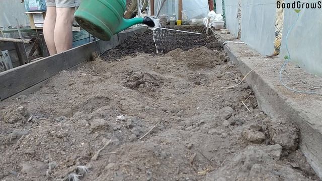 САЖАЙ не ДУМАЙ ⁞Секреты Посадки Огурцов для Начинающ? смотреть онлайн