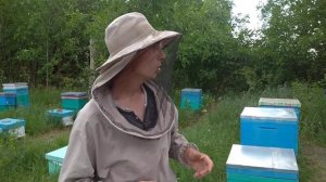 Новый взгляд на пчеловодство в сложившихся условиях ?