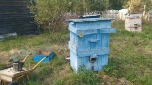 Напад пчел и что с ним делать))