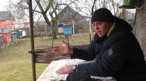 Когда лучше покупать пчёл? Что будет по лучше пчелопак