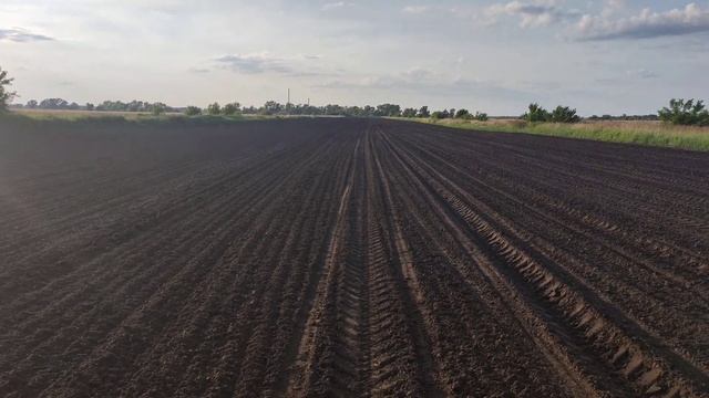 Подготавливаем почву для лука и междурядья на картофе смотреть онлайн