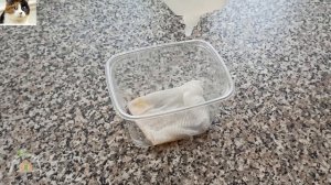 Обработка Семян Перца Перекисью Водорода Перед Посев?