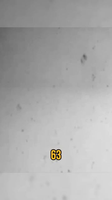 Почему американские генералы стоя аплодировали советскому лётчику?