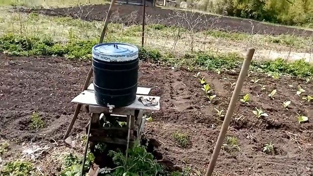 13 мая, сажаю в грунт табак, попал в аккурат, дождя весь ? смотреть онлайн