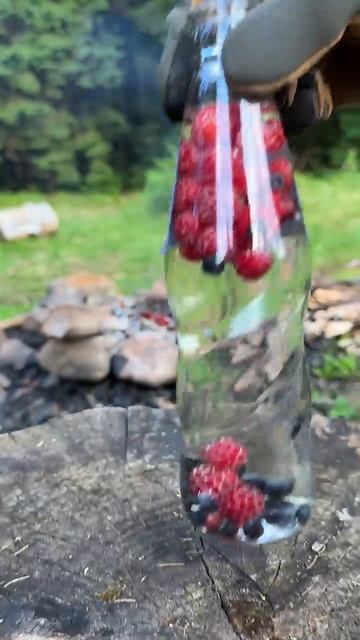 Лайфхак. Чай из диких ягод в бутылке #лайфхак #чай #природа