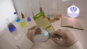 Томат Сливка желтая.  Семена Алтая