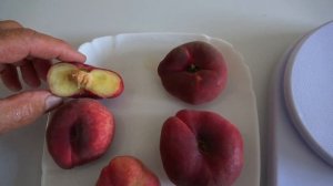 Плоский (инжирный) персик УФО 2: ранний сорт с крупными