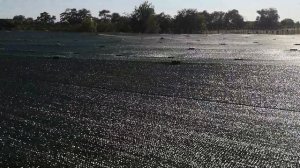 установка затеняющей сетки на малину