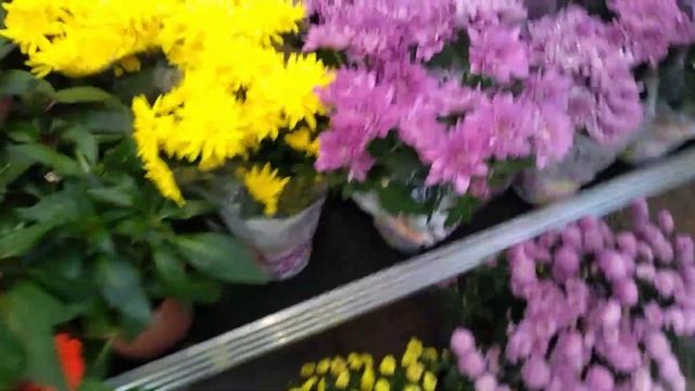 OBI 👀обзор только новинок👌🔥!!! Быстрый забег😁