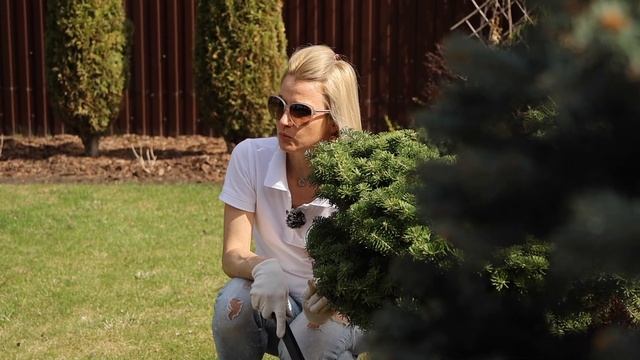 Мульча может спасти ваш сад от СОРНЯКОВ? Секреты эффек смотреть онлайн