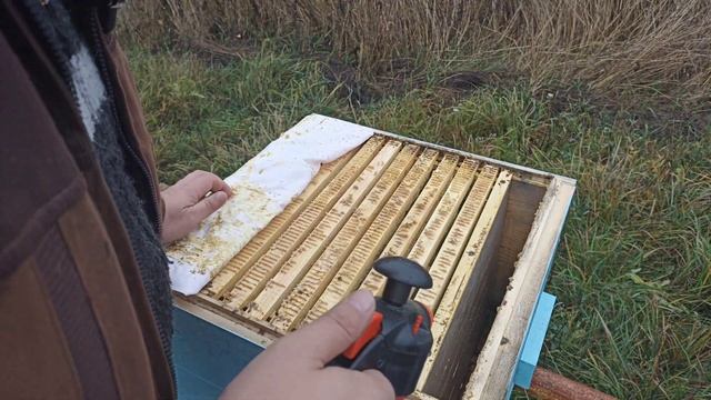 Осень. Обработка пчёл от клеща щавелевой кислотой! Пче смотреть онлайн