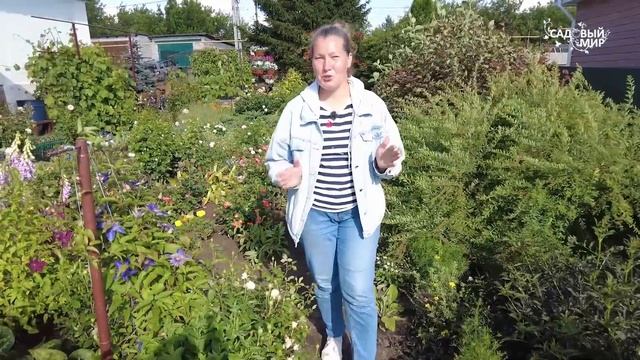 ЗАБОРНАЯ ЛЕНТА ДЛЯ СЕТКИ РАБИЦЫ - ПРОСТО И КРАСИВО - Ви?