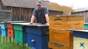 Отводок в июле! Как с делать поздний отводок пчёл? Пчел