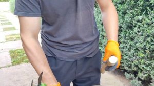 Акумуляторний Секатор ProCraft ES 32 Li від магазину Дачник ?