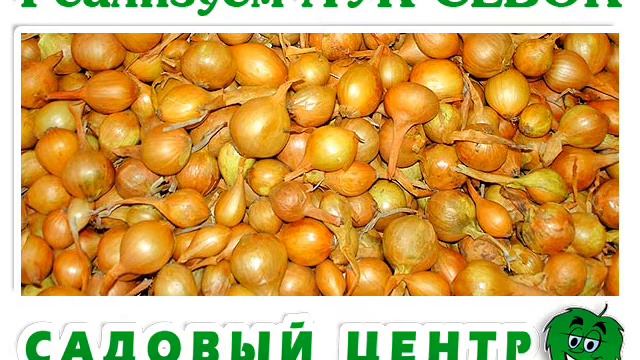 ЛУК-СЕВОК смотреть онлайн
