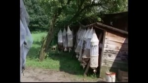Традиционное пчеловодство в Германии!