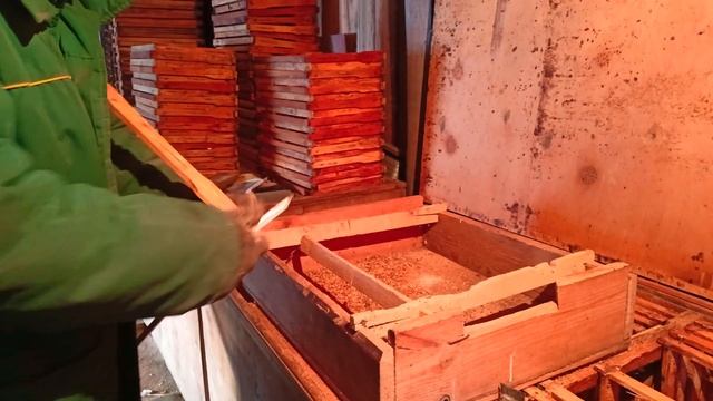 Вот как копится самый ценный пчелопродукт ПРОПОЛИС Чи смотреть онлайн