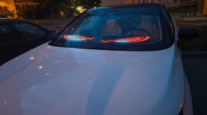 Cветодиодный гибкий экран для автомобиля и не только