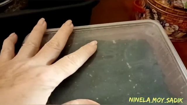 Посадка перца и баклажан на рассаду. Простой метод бе смотреть онлайн