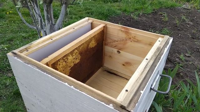 Приехали пчелопакеты