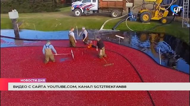 Скоро в Новгородской области появится особая сортова?