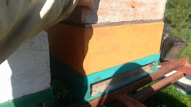 Улей ппу 145, как кормить и зимовать. смотреть онлайн