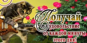 СМОТРИ, КАКАЯ КРАСОТА ! ЕЙ НЕВОЗМОЖНО НАГЛЯДЕТЬСЯ !