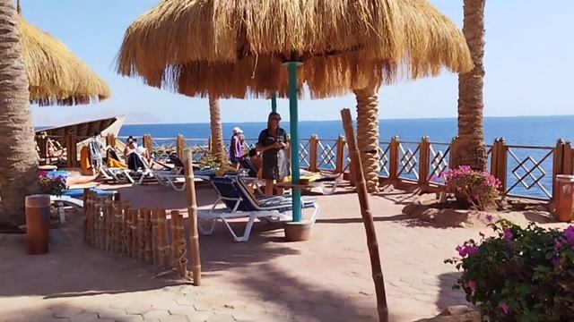 Обзор отеля Pickalbatros Luxury Suites Resort в Шарм Эль шейх. смотреть онлайн