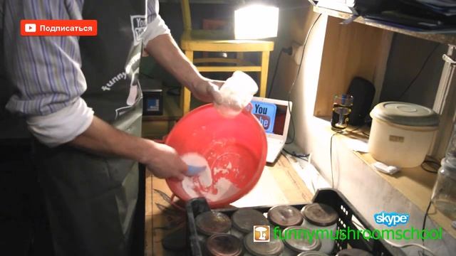 Вешенка, в зерно мел и гипс - буферный состав