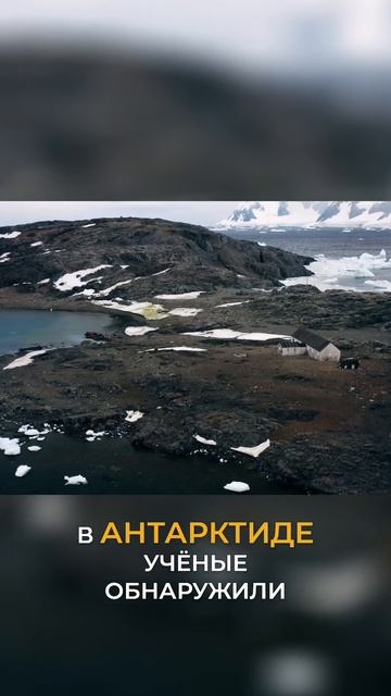 Антарктида помогает найти способы восстановления нашего мира! смотреть онлайн