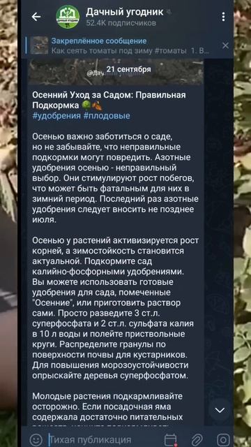 Зимовка роз гарантирована!  #дача #сад #розы #подкормка