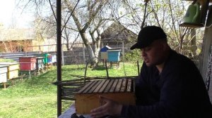 Когда ставить магазин? Нюансы при постановке магазина