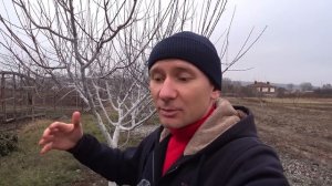 АБРИКОС ЗАЦВЕТЕТ ПОЗЖЕ: Простой Метод Не Попасть На Ве