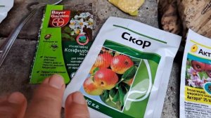 Обработка сада на завязь.